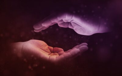 8 SOLTAR, 21 DÍAS PARA LA LIBERTAD